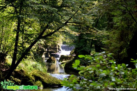 Říčka Kamenice - Foto Josef Vykoukal (1)