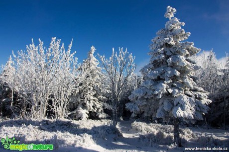 Na vrcholu Smrku po návštěvě dědy Mráze - Foto Jan Valach