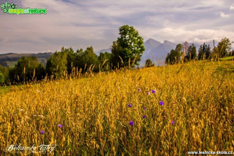 Bielanské Tatry - Foto Jozef Pitoňák