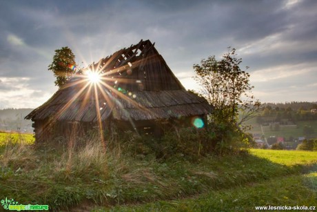 V paprscích slunce - Foto Jozef Pitoňák