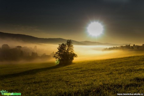 Slunce vyhání mlhu - Foto Jozef Pitoňák