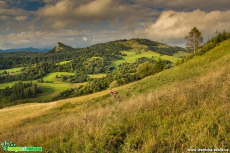 Lúky nad Lesnicou - Foto Jozef Pitoňák