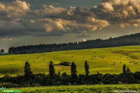 Horská louka - Foto Jozef Pitoňák (1)