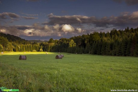 Horská louka - Foto Jozef Pitoňák