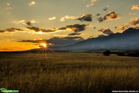 Slunce s mlhou - Foto Jozef Pitoňák