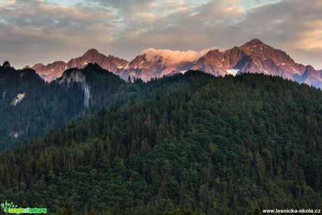 Lesy v Tatrách - Foto Jozef Pitoňák