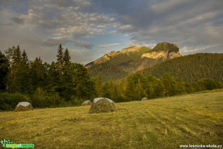 Sušení sena - Foto Jozef Pitoňák