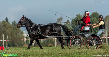 Vozatajské závody v Mimoni - říjen 2014 - Foto Roman Brož (3)