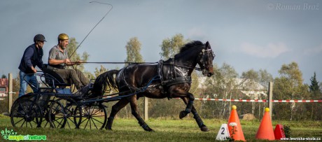 Vozatajské závody v Mimoni - říjen 2014 - Foto Roman Brož (9)