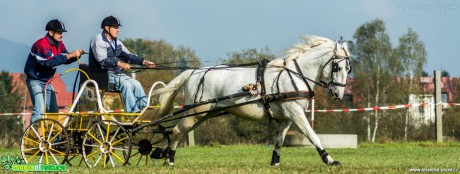 Vozatajské závody v Mimoni - říjen 2014 - Foto Roman Brož (14)