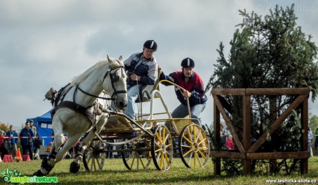 Vozatajské závody v Mimoni - říjen 2014 - Foto Roman Brož (15)