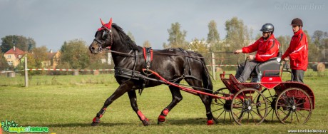 Vozatajské závody v Mimoni - říjen 2014 - Foto Roman Brož (16)