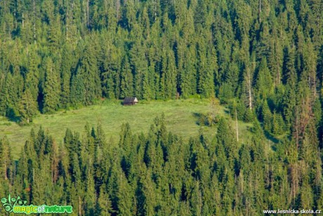 Na samotě - Foto Jozef Pitoňák