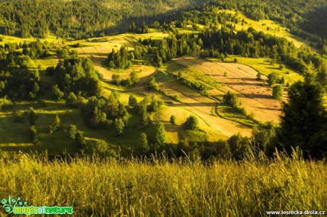 Pohled do krajiny - Foto Jozef Pitoňák (1)