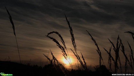 Při západu slunce - Foto Ladislav Jonák (2)