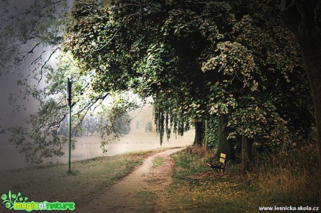 Krajina kolem Labe u Čelákovic - Foto Jana Vondráčková