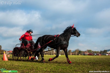 Klusáci v Mimoni - Foto Filip Holič