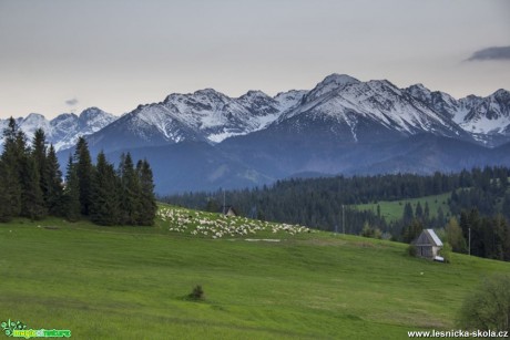 Tatry - Foto Jozef Pitoňák (3)