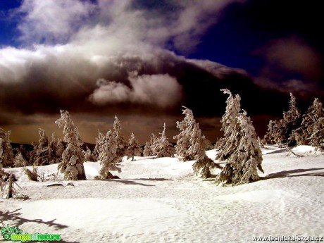 Zima na horách - Foto Tomáš Kunze (6)