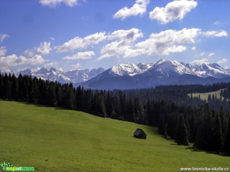 Vysoke Tatry ze Šimonovej polany v Polsku - Foto Jozef Pitoňák