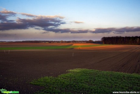 Nebe nad polem - Foto Jozef Pitoňák