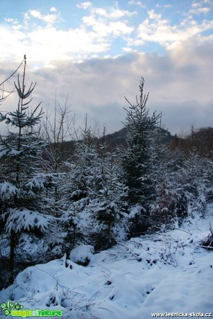 Prosinec na Novoborsku - Foto Petr Germanič (6)