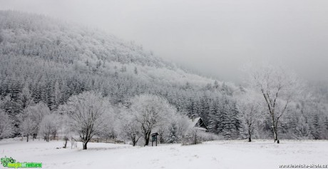 Po červené na Lysou 30. 12. 2014 - Foto Jan Valach