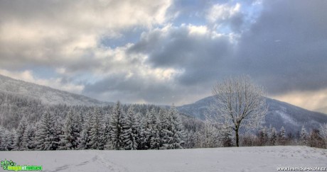 Zimní procházka - Foto Jan Valach