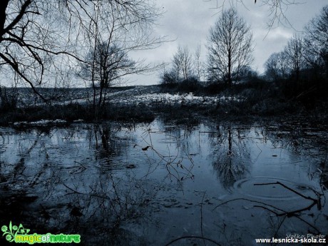 Deštivé ráno v Krupce - Foto Jiří Havel