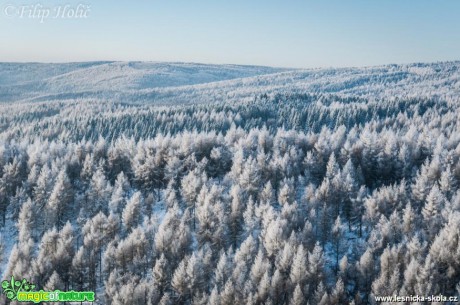 Lesy pod Soví vyhlídkou - Foto Filip Holič