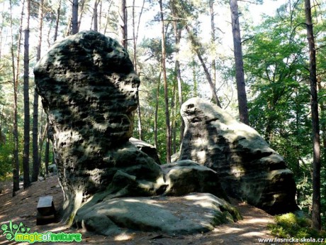 Kokořínsko - Obří hlava a žába - Foto Radka Mizerová