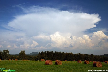 Cumulonimbus – Nový Bor - září 2014 - Foto Petr Germanič