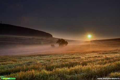 Mlžný opar - Foto Jozef Pitoňák