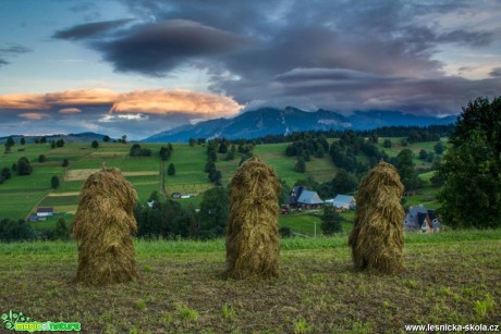 Na horských lukách - Foto Jozef Pitoňák