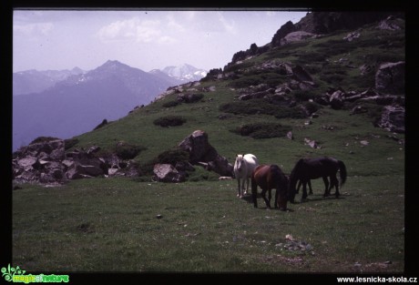 Tibet - Ťan-Šan - Foto Jaroslav Pávek (3)