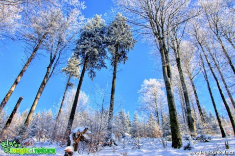 Krajina kolem Lysé hory - Foto Jan Valach (2)