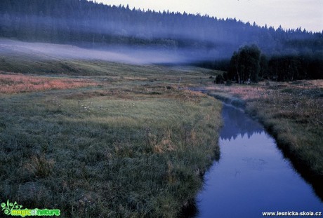 Šumavské svítání - Foto Petr Germanič