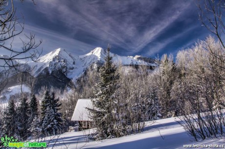 Zimní hory - Foto Jozef Pitoňák (5)