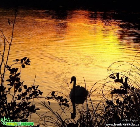 Podvečer - Foto Jiří Havel