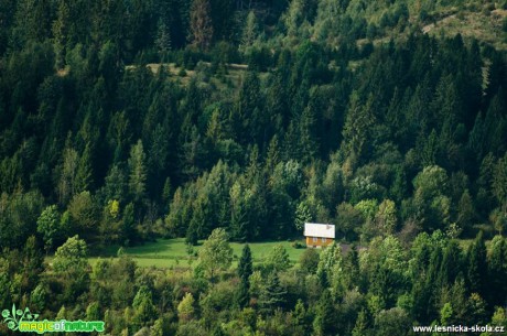 Chaloupka v lesích - Foto Dezider Tocka