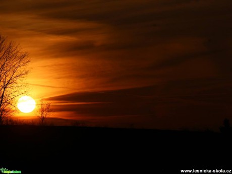 Stromy v západu slunce - Foto Ladislav Jonák (3)