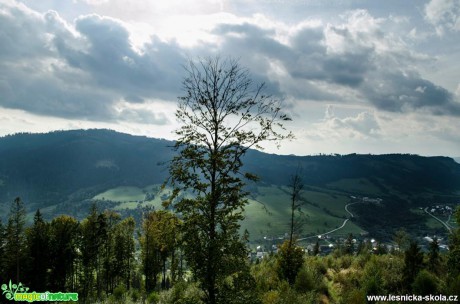 Okolí rozhledny na Bobovci - Foto Dezider Tocka (2)