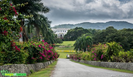 Rose Hall  - Foto Roman Brož