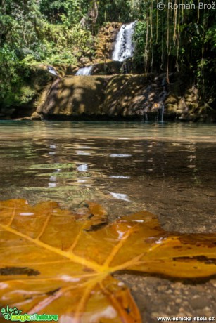 Y. S. Falls  - Foto Roman Brož (1)