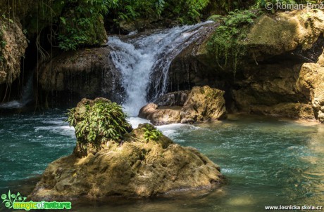 Y. S. Falls  - Foto Roman Brož (2)