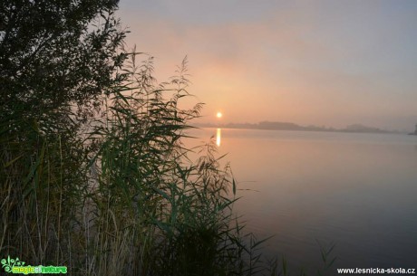 Podzimní mlhy - Foto Marie Vykydalová (1)