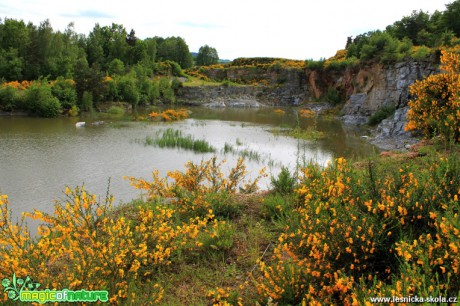 Lom - Foto František Novotný (3)