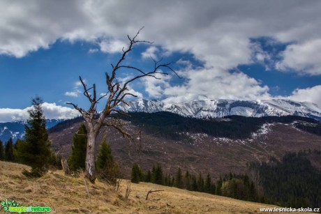 Krásné a drsné hory - Foto Jozef Pitoňák
