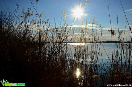 Odpoledne na Nákle - Foto Marie Vykydalová (3)