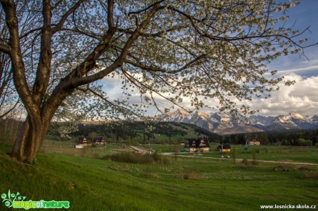 Tatry - Foto Jozef Pitoňák (16)